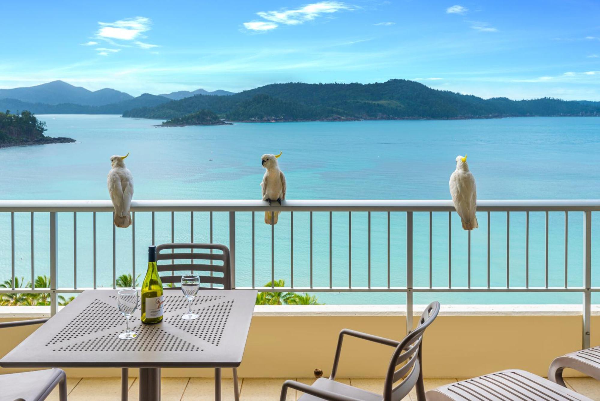 Whitsunday Apartments On Hamilton Island By Hiha Kültér fotó
